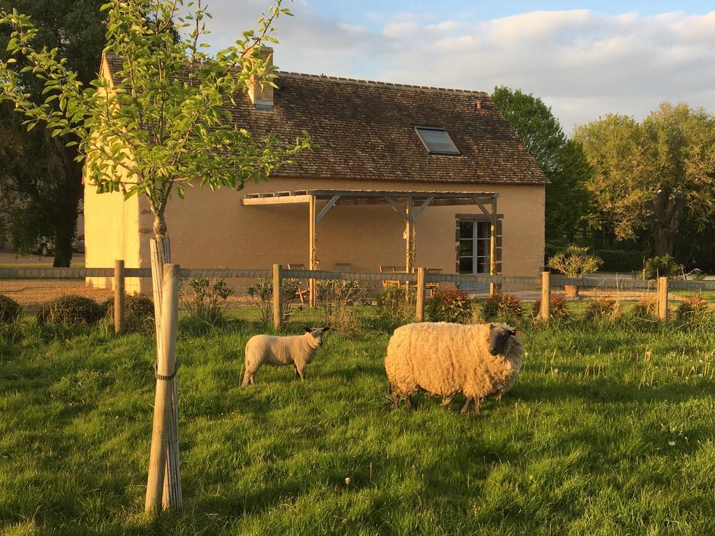 Gite De La Hertaudiere Montbizot Exterior foto